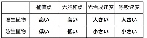 陽樹 種類|植物の名前一覧(生物基礎第4章『植生の多様性と分布』)